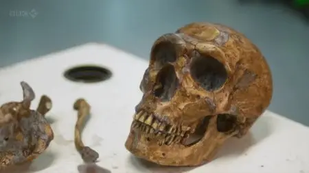 BBC - Prehistoric Autopsy (2012)