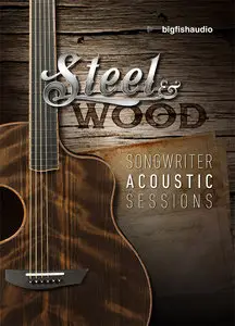 Big Fish Audio Steel & Wood Songwriter Acoustic Sessions