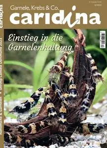 Caridina N.4 - November 2023