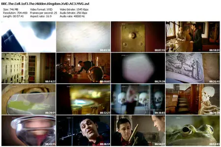 BBC – The Cell (2009)(complete)