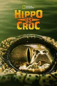 Hippo vs Croc (2014)