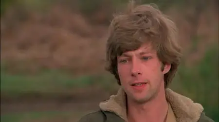 Young, Violent, Dangerous / Liberi armati pericolosi (1976)