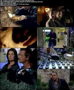 CSI New York S08E06