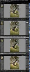 Complete post production workflow: from Lightroom to Photoshop - The girl and the tree (v2.4)