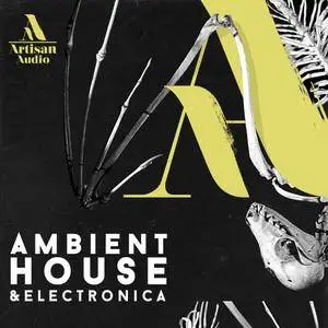 Artisan Audio Ambient House and Electronica WAV