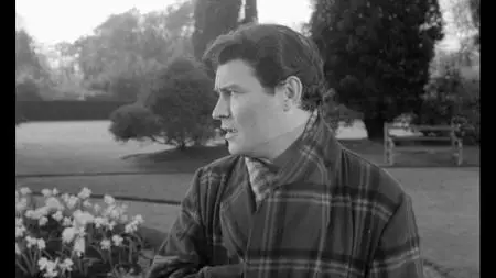 Twice Round the Daffodils (1962)