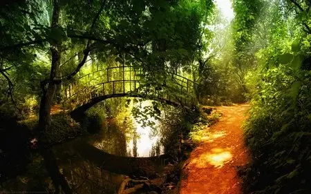 HD Wallpapers Wide Pack №45