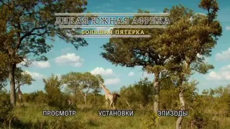Wildlife South Africa: Big Five / Тайны планеты Земля. Дикая Южная Африка: Большая Пятёрка (2012)