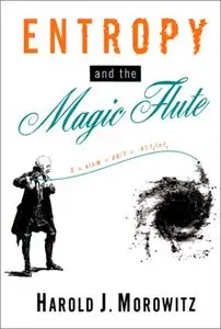 Entropy and the Magic Flute [Repost]