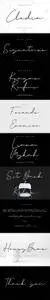 Clodia Signature Font 2885150