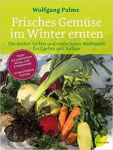 Frisches Gemüse im Winter ernten: Die besten Sorten und einfachsten Methoden für Garten und Balkon