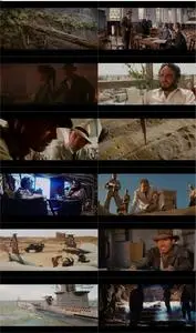 Raiders of the Lost Ark (1981)