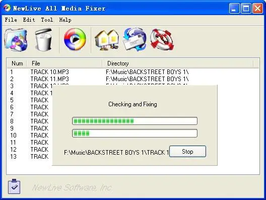 NewLive All Media Fixer Pro ver. 6.5