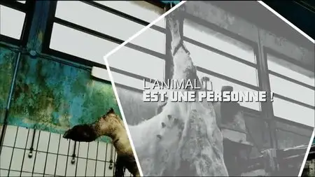 (Fr3) L'animal est un personne ! (2015)