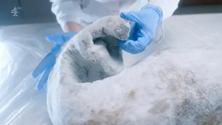 Ch4. - Mammoth Autopsy: Return of the Ice Age Giant? (2019)