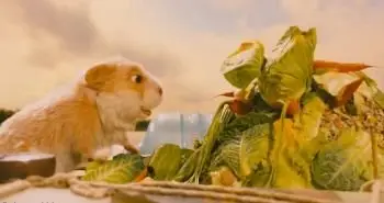 Береговые сказки / Tales of the Riverbank (2008) DVDRip