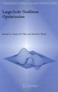 Large-Scale Nonlinear Optimization [Repost]