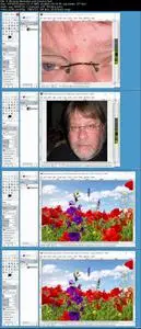 GIMP 2.8/2.10 Beginner-Advanced: Free on Windows/MacOS/Linux