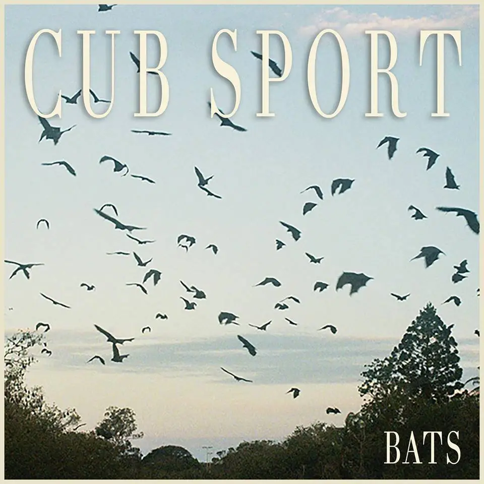 cub-sport-bats-2017-avaxhome