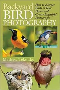 Backyard Bird Photography: How to Attract Birds to Your Home and Create Beautiful Photographs