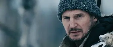 The Grey (2011)