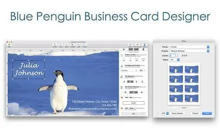 Blue Penguin Business Card Designer 2.62 Mac OS X