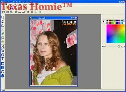 Falco Image Studio 2.9