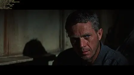 Papillon (1973)