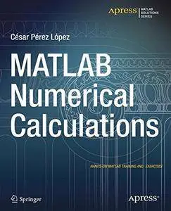 MATLAB Numerical Calculations