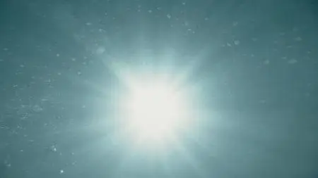 Animals. S01E07