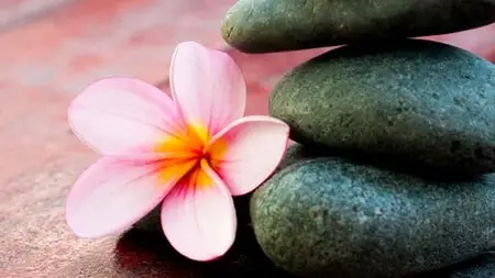 Usui Reiki Level I