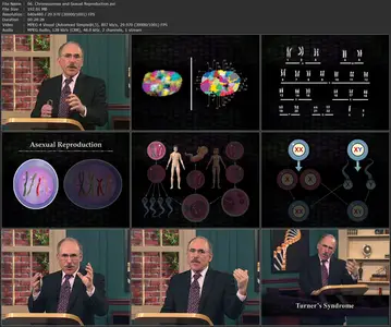 TTC Video - The Science of Self