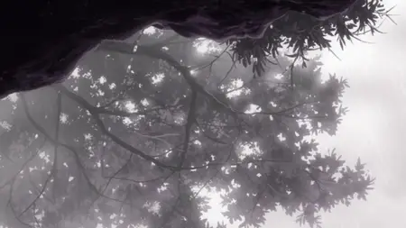 Mushishi 26 (BD 1280x720 x264 5 1 AAC