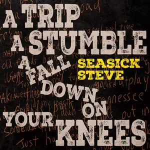 Seasick Steve - A Trip A Stumble A Fall Down On Your Knees (2024) [Official Digital Download 24/96]