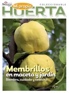 La Huerta en Casa - 15 Noviembre 2024