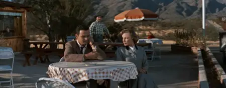 You Can't Run Away from It (1956)