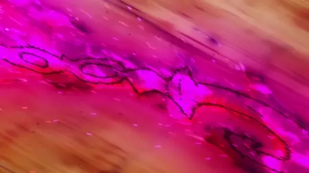 Re ZERO Starting Life in Another World - S03E03 (BD Remux 1080p AVC FLAC E-AC-3