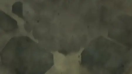Kaijuu 8-gou - 16
