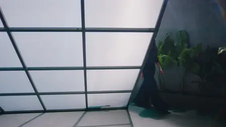 3% S02E07