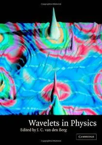 Wavelets in Physics