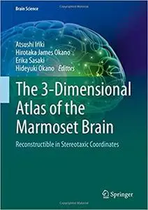 The 3-Dimensional Atlas of the Marmoset Brain: Reconstructible in Stereotaxic Coordinates