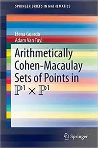 Arithmetically Cohen-Macaulay Sets of Points in P1 x P1