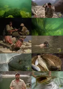 National Geographic - Monster Fish: India's River Devil (2011)