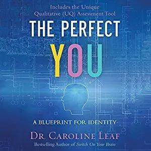 The Perfect You: A Blueprint for Identity [Audiobook]