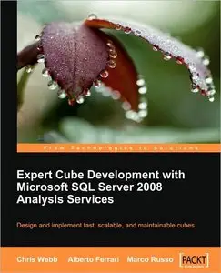 Expert Cube Development With Microsoft Sql Server 2008 Analysis Services