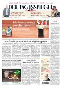 Der Tagesspiegel - 29. November 2017
