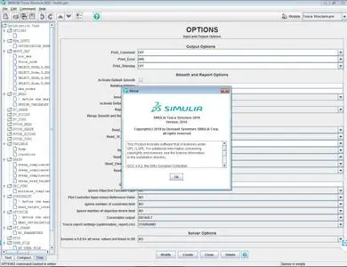 DS SIMULIA Suite 2019