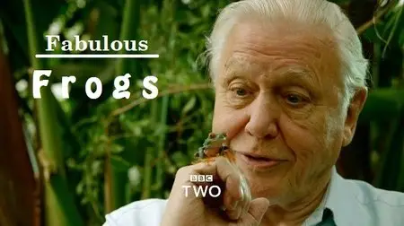 BBC - Natural World: Attenborough's Fabulous Frogs (2014)