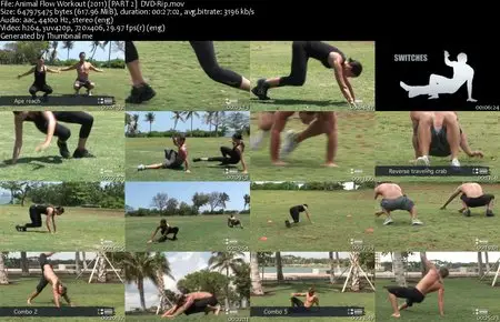 Animal Flow Workout (2011)