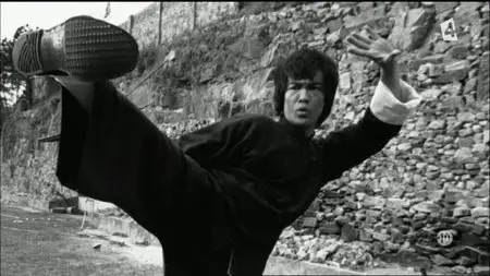 (Fr4) Moi, Bruce Lee (2013)